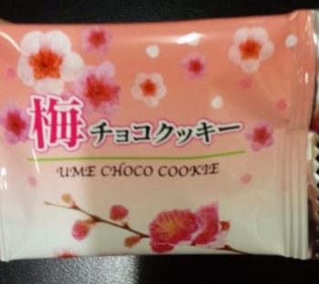 KNGW君 和歌山のお土産 「梅チョコクッキー」