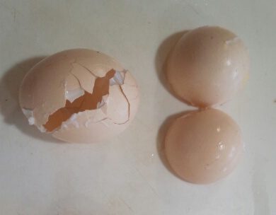 簡単に作る「ゆで卵」殻が「むきにくい」「むけない」「きれいにむく」「ゆで卵研究会」
